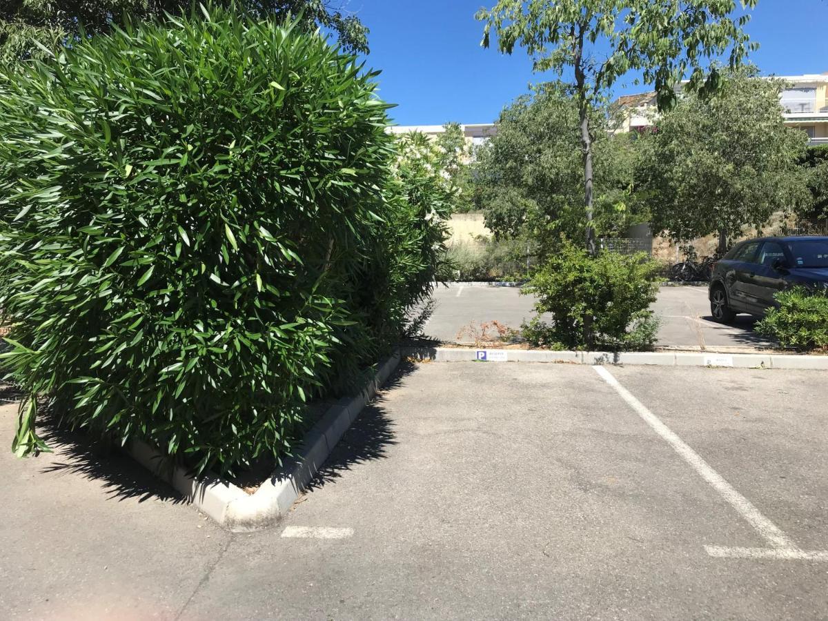 Les Terrasses Du Liouquet T2, Piscine , Parking , Mer A 150 M 拉西约塔 外观 照片